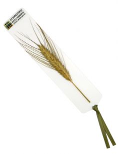 Σελιδοδείκτης με...