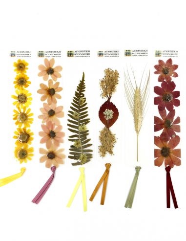 Σελιδοδείκτης με αποξηραμένα φυτά από... Σελιδοδείκτης με αποξηραμένα φυτά από...