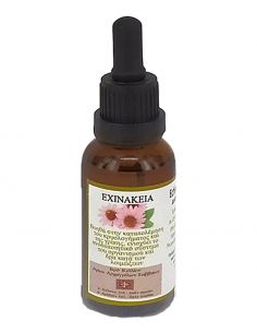 Βάμμα Εχινάκειας